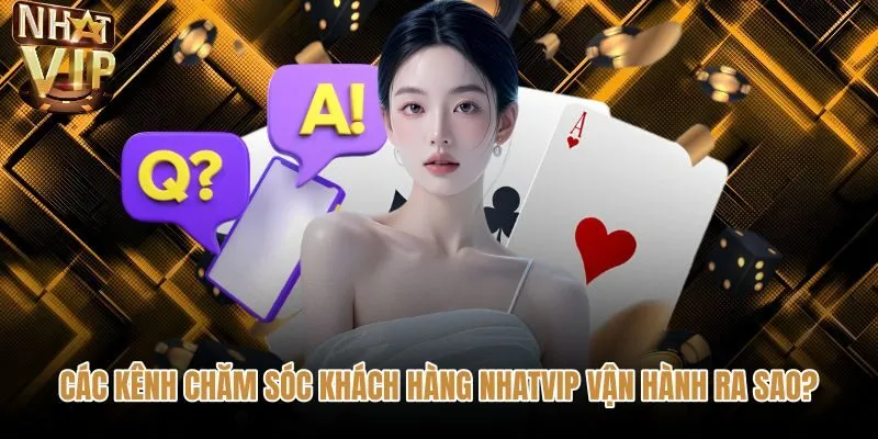 Giải đáp câu hỏi thường gặp NHATVIP về kênh hỗ trợ 24/7