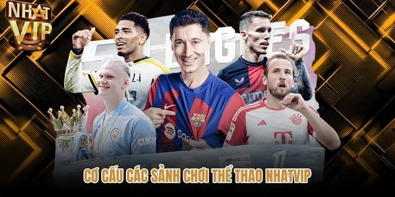Bảng tỷ lệ kèo đa dạng tại sảnh Thể thao NHATVIP