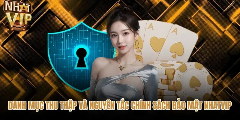 Quy định thu thập dữ liệu minh bạch theo chính sách bảo mật NHATVIP