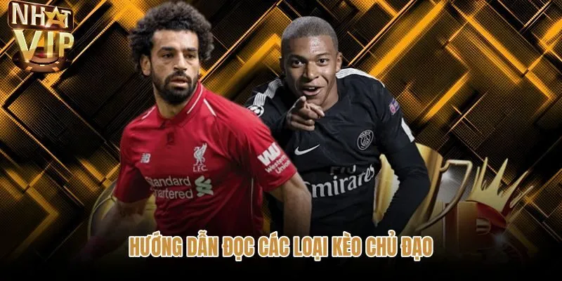 Quy chuẩn đọc các loại kèo cược Thể thao NHATVIP