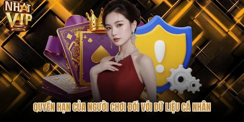 Quyền làm chủ dữ liệu cá nhân theo chính sách bảo mật NHATVIP